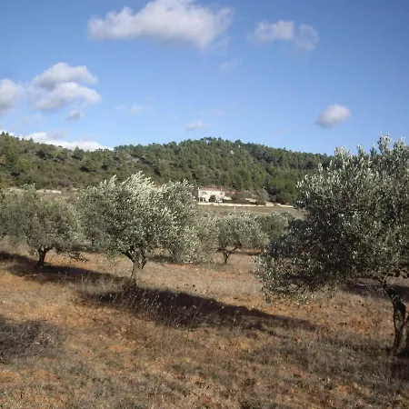 L' Oliveraie De Plerimond Aups Exterior foto