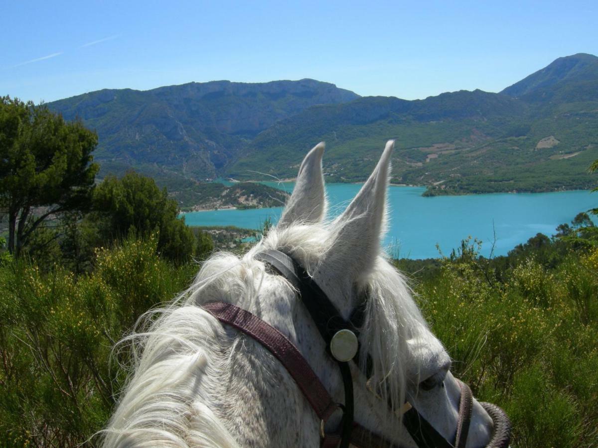 L' Oliveraie De Plerimond * Aups
