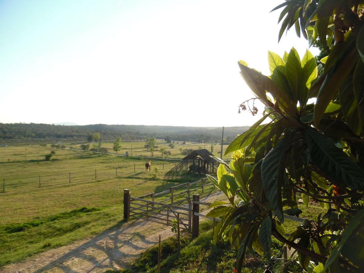 L' Oliveraie De Plerimond Holiday home *